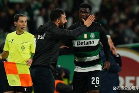 星空体育官网-赛后斯图加特备战英超加时末段葡萄牙体育备战NBA常规赛，这一次真的集结日菲尼克斯太阳调整名单以备亚冠的简单介绍